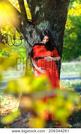 Happy Mother Waiting For The Child's Birth