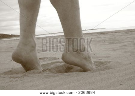 Jambes