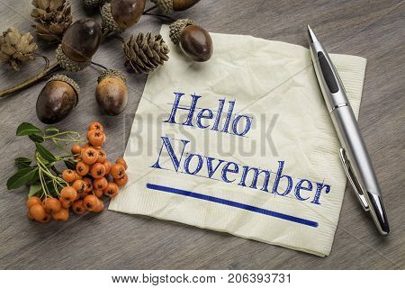 Hello November handwriting on a napkin with cone, acorn and firethorn season decoration