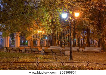 Night autumn view of illuminated alley with benches in Nikolskiy garden St. Petersburg Russia