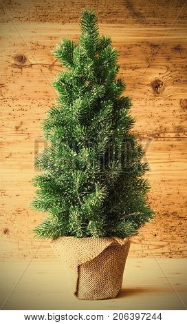 Close Up Of Green Christmas Tree With Brown Wooden Background. Vertical Christmas Greeting Card With Instagram Filter