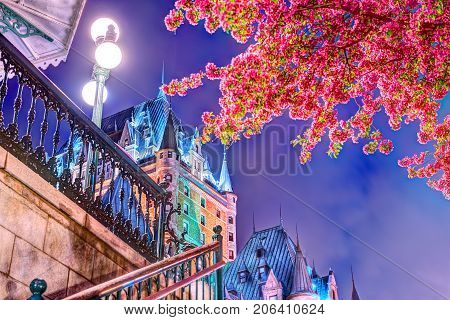 Quebec City, Canada - May 31, 2017: Illuminated Crabapple Blossom Tree By Escalier Chateau Frontenac