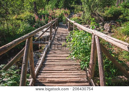 Old Wooden Bridge in Forest in Velicka Valley Leading to Gerlachovsky Peak High Tatras Slovakia