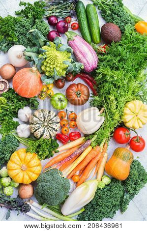 Fresh farm produce, varieity of colorful organic vegetables and herbs on light grey stone background, top view, selective focus