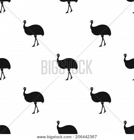 Bird, ostrich emu.African wild ostrich single icon in black style vector symbol stock illustration .