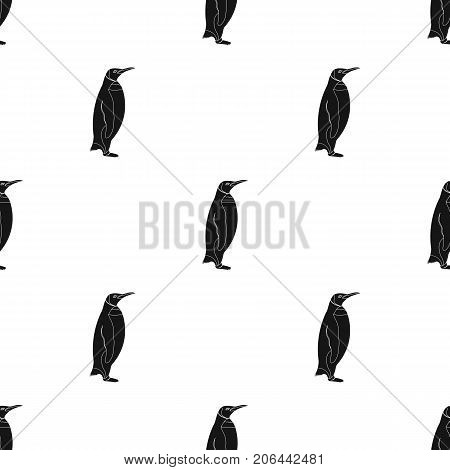 Penguin, flightless sea bird. The Imperial Penguin single icon in black style vector symbol stock illustration .