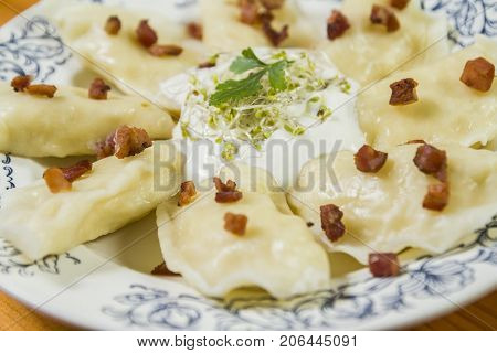 Cooked dumplings with cheese pork scratching and creme fraiche on wooden table. Polish ukrainian russian traditional food.