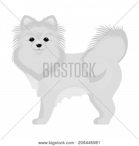 Spitz single icon in monochrome style.Spitz vector symbol stock illustration .