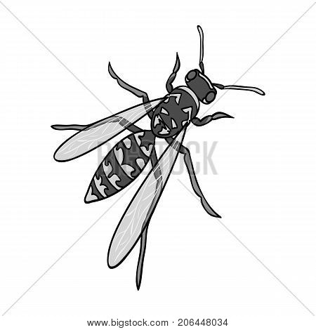 Wasp, hymenopteran insect.Wasp, stinging insect single icon in monochrome style vector symbol stock isometric illustration .
