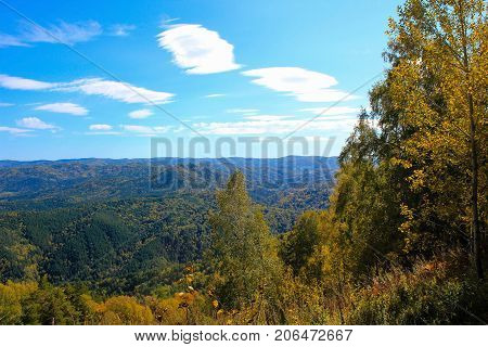 Beautiful view of the landscape with the forest
