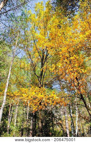 Ochennya and unusual nature with a beautiful landscape