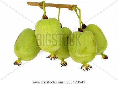 actinidia vitamin berry hardy kiwi food nature deliceosa isolated