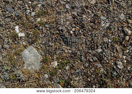 Soil. Ground texture. Soil background. Abstract nature pattern. Stony ground