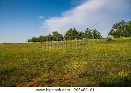 Ukrainian Steppe Near The Town Of Polohy