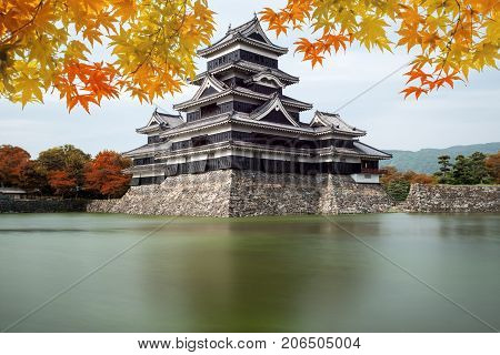 Matsumoto Castle in Autumn at Matsumoto city Nagano prefecture Japan. Beautiful autumn in Japan.