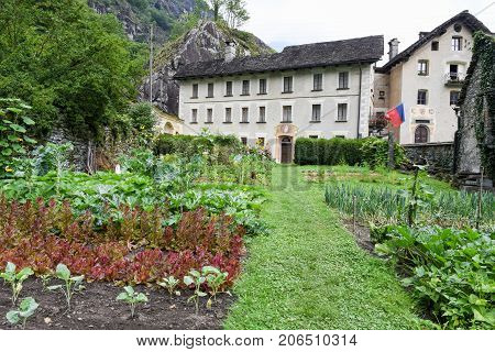 Vegetable Garden In Front Of Old House At Cevio