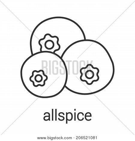 Allspice, pimento linear icon. Thin line illustration. Flavoring, seasoning. Contour symbol. Vector isolated outline drawing