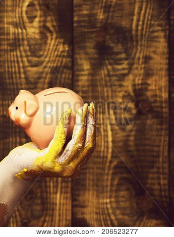 Female Hand Holding Piggy Bank