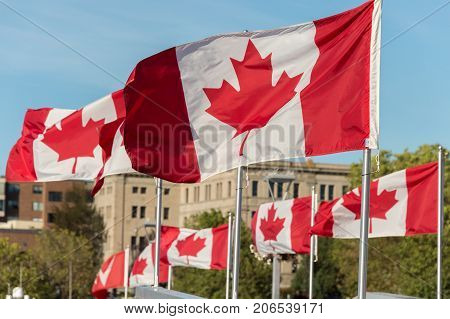 Canada and British Columbia flags waving over blue sky in Vancouver BC Canada
