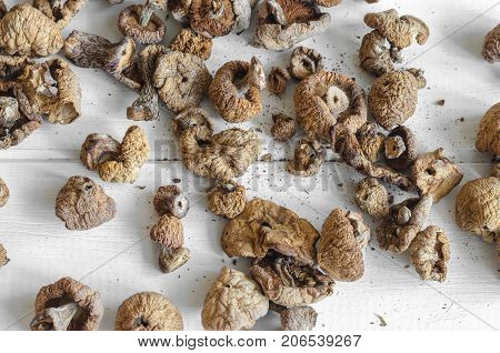 Dry Mushrooms Isolated On White Background. Selective Focus