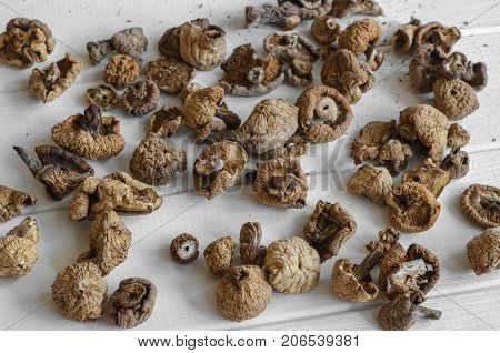 Dry Mushrooms Isolated On White Background. Selective Focus