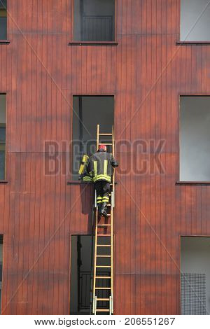 Firefighters During A Ladder Exercise And The Fire Brigade Build