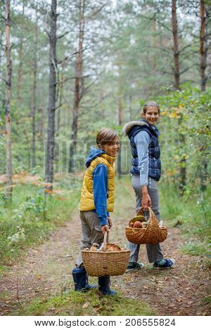 Mushrooms picking, season for mushrooms - lovely boy with his sister with picked fresh edible mushrooms in basket in the forest