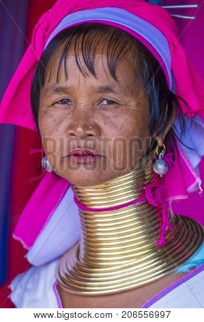 KAYAN STATE MYANMAR - SEP 09 : Portrait of Kayan tribe woman in Kayan state Myanmar on September 09 2017 Kayan tribe woman are well known for wearing neck rings.