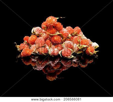 Flower tea. Chinese tea additive for brewing. On a black glossy background with real reflection. Pile of dried flowers Gomphrena or Globe amaranths.