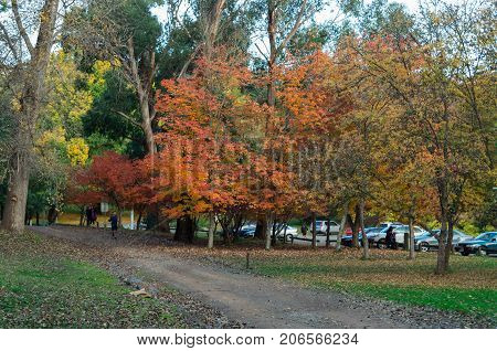 Healesville, Australia - May 13, 2017: people enjoying the outdoors among the autumn leaves at Maroondah Reservoir. Maroondah Reservoir is part of the water supply system.