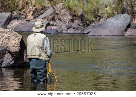 A man in waders fly fishing in the Poudre River in Colorado.