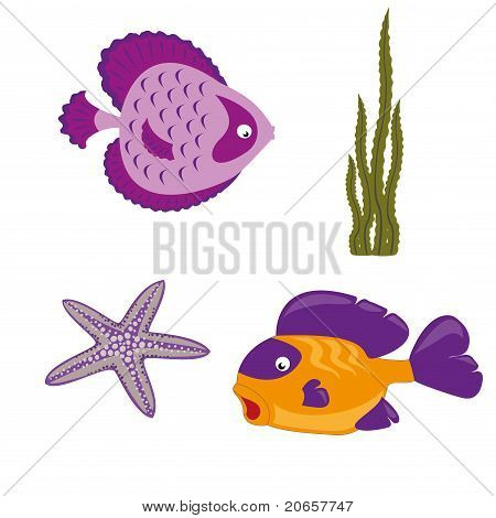 marine life