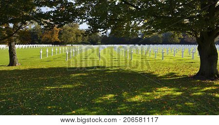 Military Cemetery Crosses Under Trees