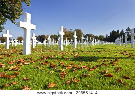 Military Cemetery Crosses