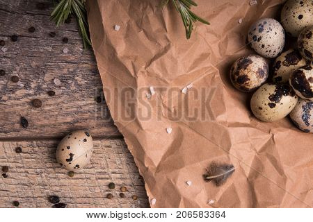 Top view of fresh speckled quail eggs, fragrant green twigs of rosemary, dried up bay leaves, a little quail feather on a piece of grocery paper on a light wooden background.