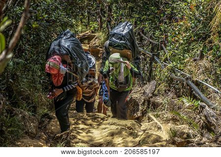 Ranau,Sabah-March13,2016:Mountain porter carrying a heavy backpack to Laban Rata of the majestic Mount Kinabalu in Ranau,Sabah Borneo,Malaysia.