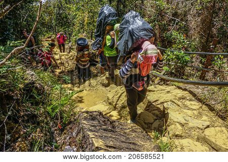 Ranau,Sabah-March13,2016:Mountain porter carrying a heavy backpack to Laban Rata of the majestic Mount Kinabalu in Ranau,Sabah Borneo,Malaysia.