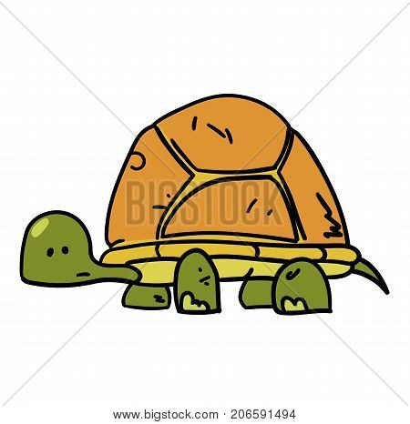 Turtle hand drawn cartoon. Colorful artwork with color on separate layer.