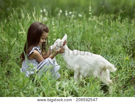 Little girl plays and hugs goatling in country, summer nature outdoor. Cute kid with baby animal, countryside outdoor portrait, forest, trod, glade background. Friendship of child and yeanling