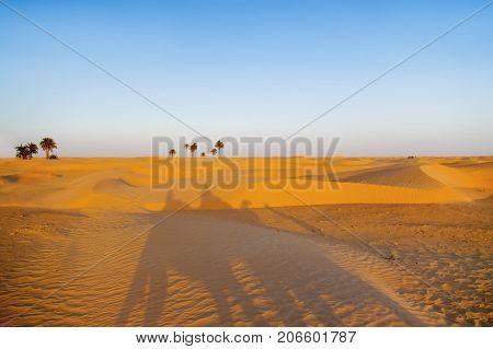 Tourists and bedouins on camels meet sunset in Sahara desert. Beautiful landscape with sand dunes and clear blue sky. Tunisia.