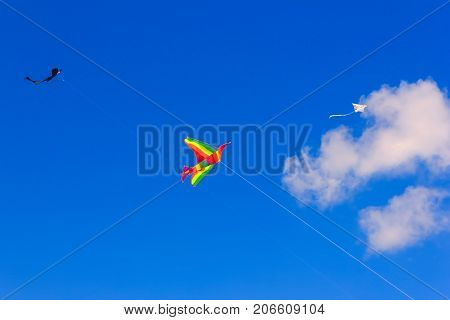Colorful Kite Free To Fly In The Clear Sky, A Beautiful Summer Day,