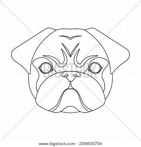 Breed of a dog, a pug.Pug's muzzle single icon in outline style vector symbol stock illustration .