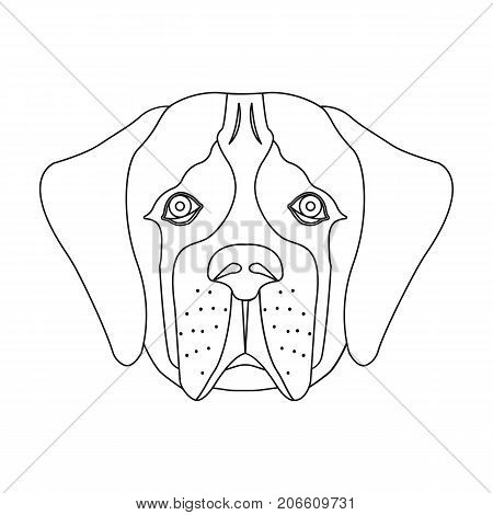 Breed of a dog, St. Bernard.Muzzle of St. Bernard single icon in outline style vector symbol stock illustration .