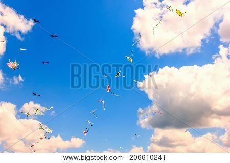 Colorful Kite Free To Fly In The Clear Sky, A Beautiful Summer Day,
