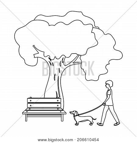 Tree and bench, woman walks a pet in the park. Pet, Dog care single icon in outline style vector symbol stock illustration .