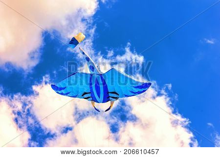 Bright Kites Floating In The Blue Sky,