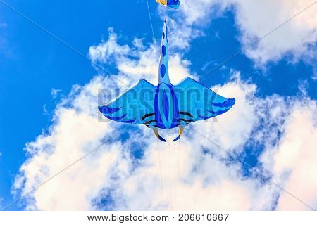 Bright Kites Floating In The Blue Sky,
