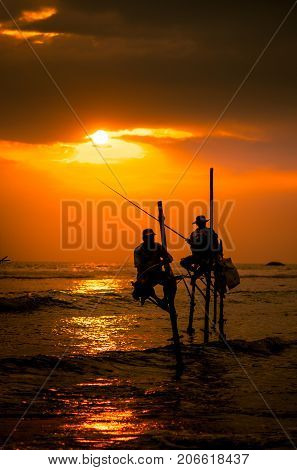 Silhouettes of the traditional fishermen at the sunset in Sri Lanka
