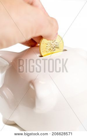 Holding The Savings In Gold