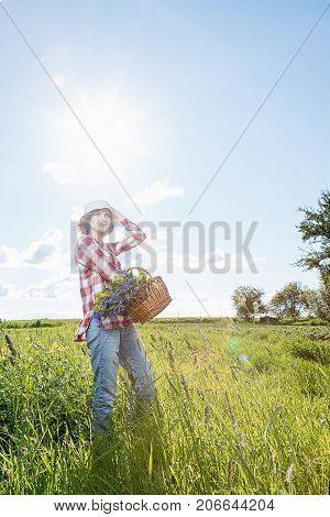 Girl With A Basket Of Flowers In The Field.